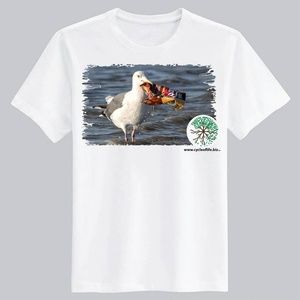 Organic cotton t-shirt Exhibit A